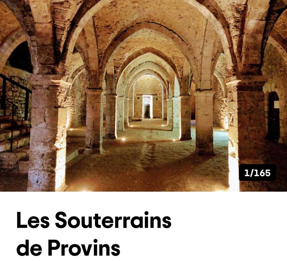 Harmonia Maison De Caractere Proche Provins Gouaix Esterno foto